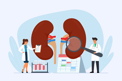 Prevent Kidney Disease • Protect the Kidneys Prevent Kidney Disease • Protect the Kidneys