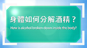 “Be Informed and Alcohol-free” Interactive Health Education Session View and download Animation: “How is alcohol broken down inside the body?”