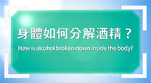 「知情智选Alcohol-free」大专健康教育讲座 检视及下载动画:《身体如何分解酒精》