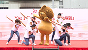 Lazy Lion Performed “ Flash Mob” Dance