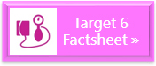 Factsheet: Target 6