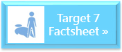 Factsheet: Target 7