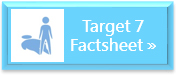 Factsheet: Target 7 Factsheet: Target 7