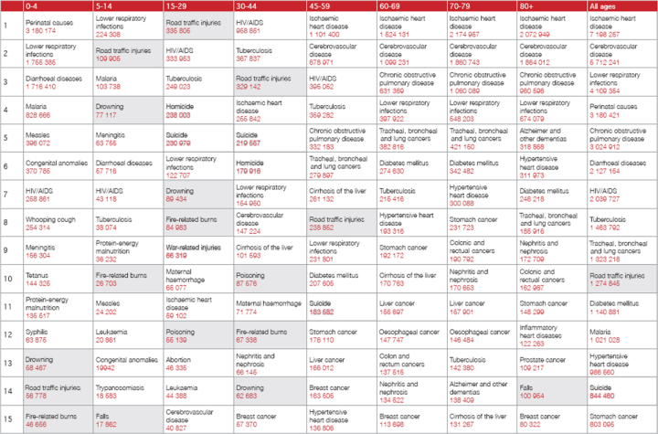 Two of the five leading causes of death in the age group 5 to 14 were due to injuries. In the age group 15 to 29, one of the five leading causes of death was due to injuries. In the age group 30 to 44, one of the five leading causes of death was due to injuries. In all other age groups, no injuries is ranked among the five leading causes of death.